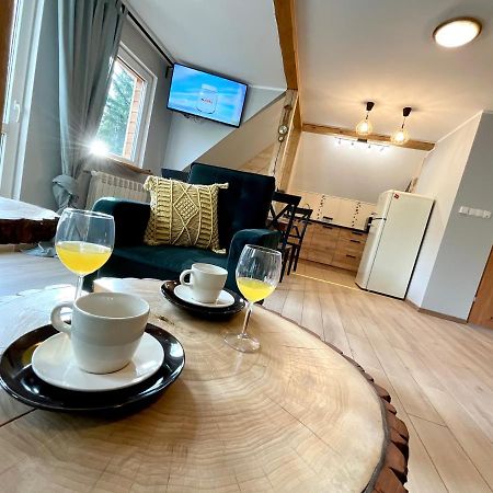 Apartament Karkonoska Przesieka Zewnętrze zdjęcie