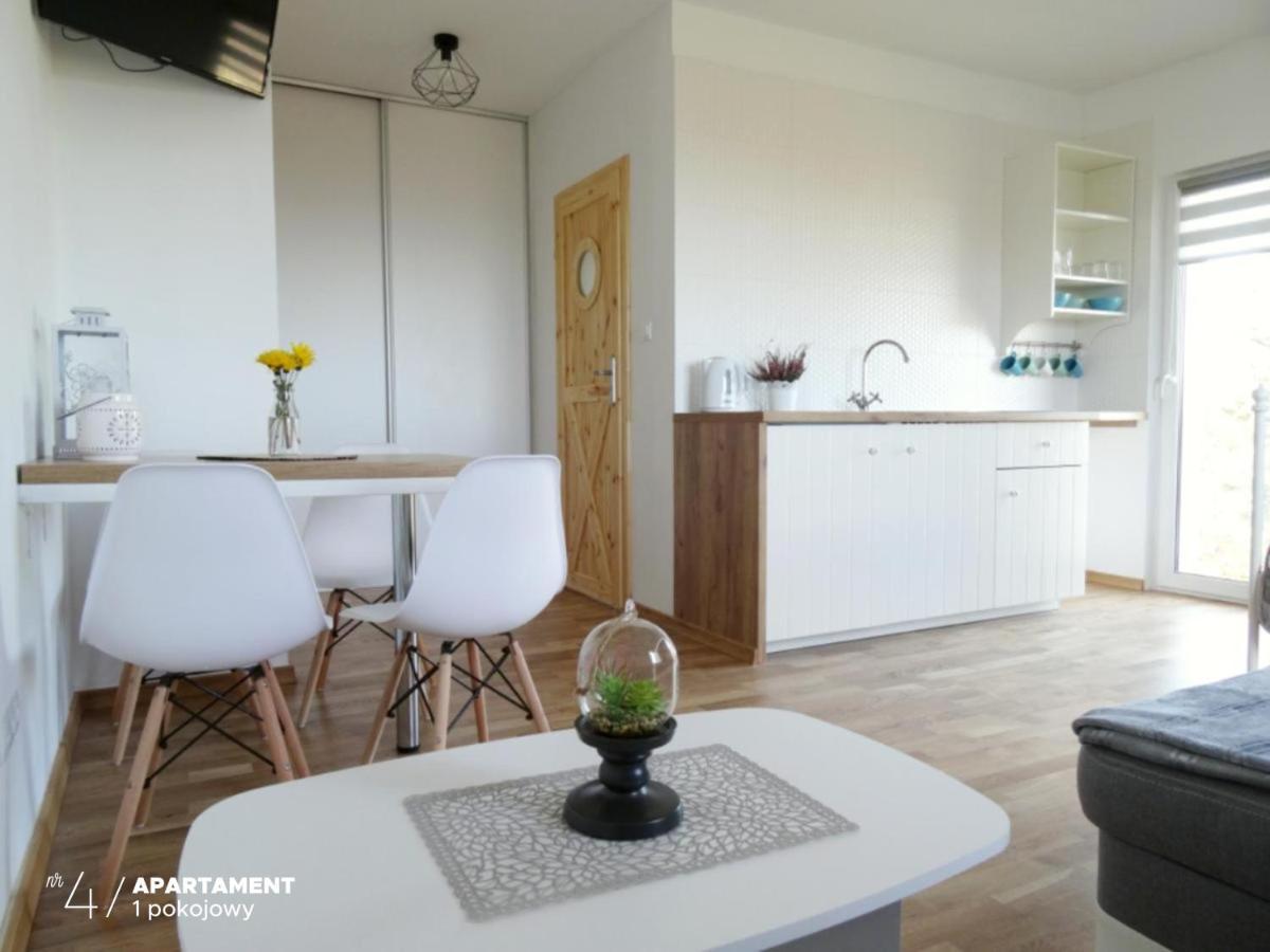 Apartament Karkonoska Przesieka Zewnętrze zdjęcie